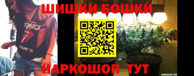 прущие грибы Будённовск