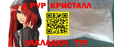 прущие грибы Будённовск