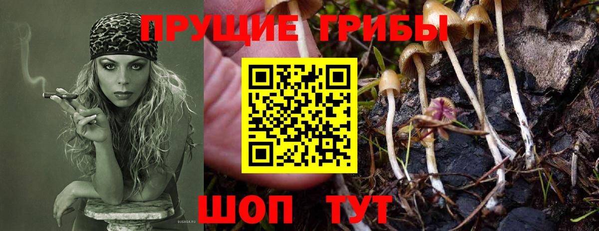 Галлюциногенные грибы MAGIC MUSHROOMS Нерюнгри
