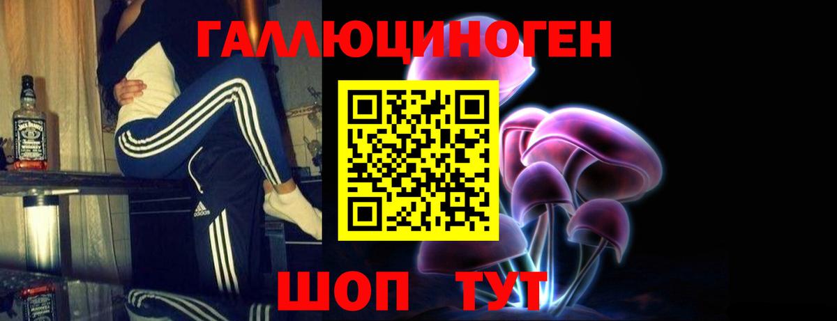 как найти закладки  Вход с VPN  Нерюнгри  Псилоцибиновые грибы прущие грибы 